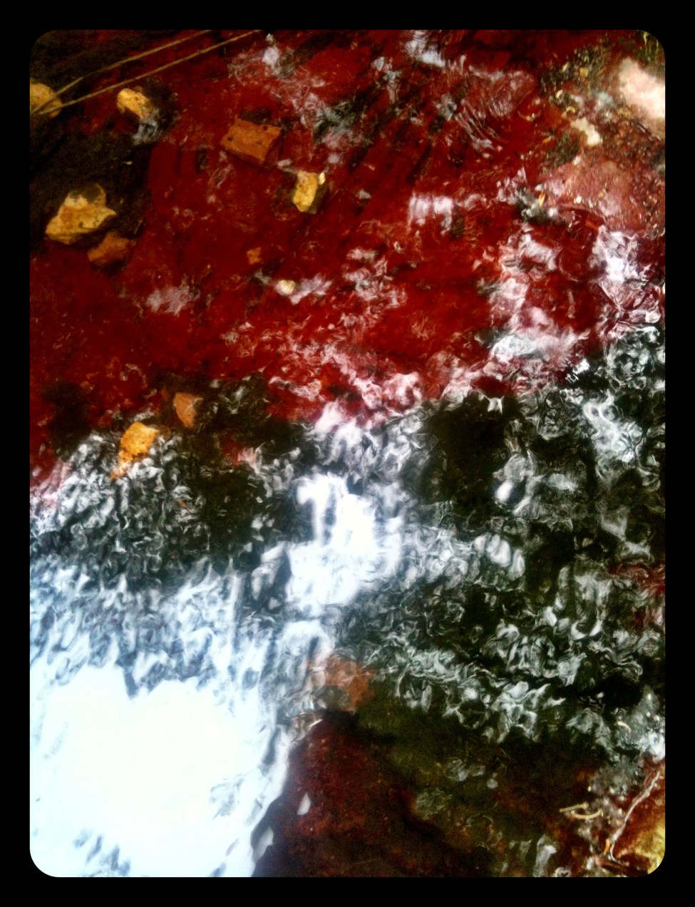 Barranco de Agua Negra, Sierra de Espadan, Castellon. Hecho con iPhone 3GS © mateoht 1990-2013 - http://lafotodeldia.net