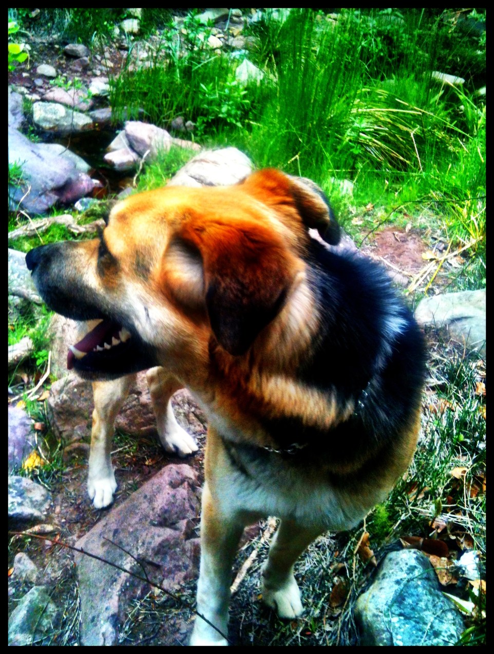 Gurtell en Espadan, Castellón. Hecho con iPhone 3GS © mateoht 1990-2013 - http://lafotodeldia.net