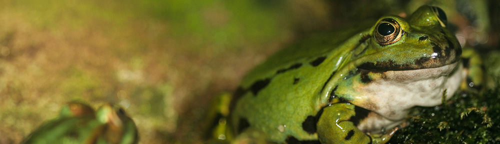 La Foto del Día: Una imagen cada día, del archivo personal