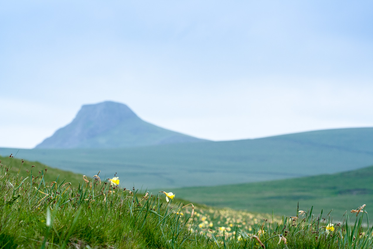 Volcán extinguido en La Bourboule, Massif Central, France - © mateoht 1990-2013 - http://lafotodeldia.net