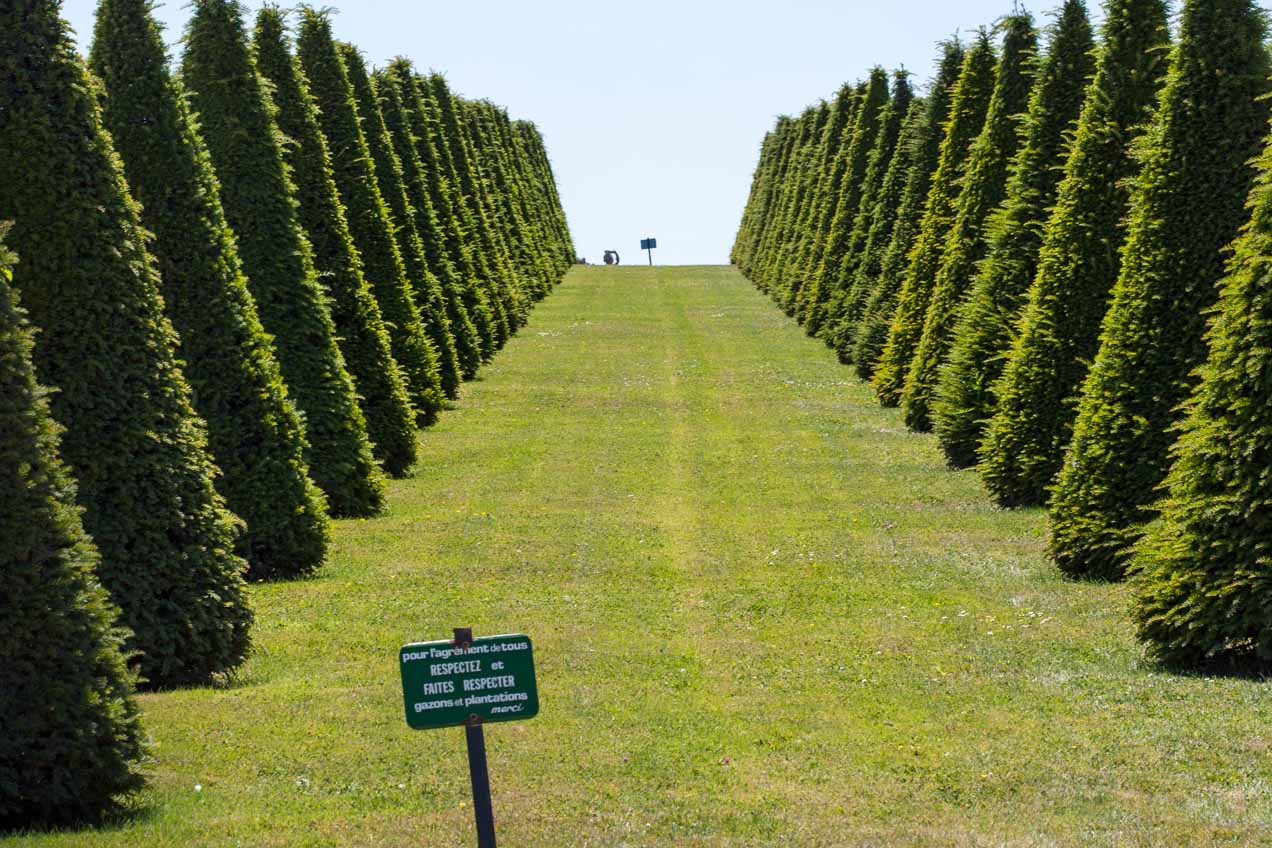 Jardín en Versalles, Francia. © mateoht 1990-2013 - http://lafotodeldia.net