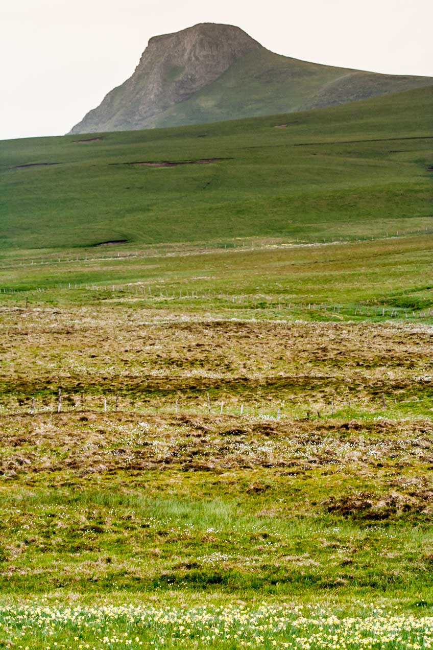 Volcán en el Massif Central, Francia. © mateoht 1990-2013 - http://lafotodeldia.net