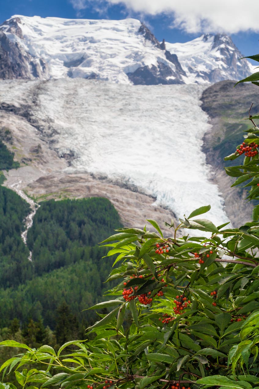 Glacier des Bossons en Chamonix, Francia. © mateoht 1990-2013 - http://lafotodeldia.net