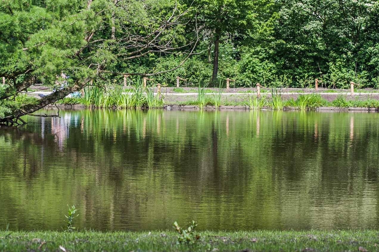 Reflejos en un parque de Amsterdam. © mateoht 1990-2013 - http://lafotodeldia.net