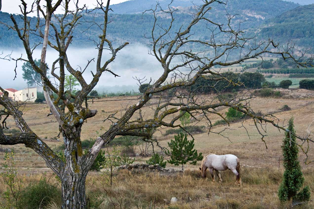 El valle, en Chodos (Castellón), al amanecer. © mateoht 1990-2013 - http://lafotodeldia.net