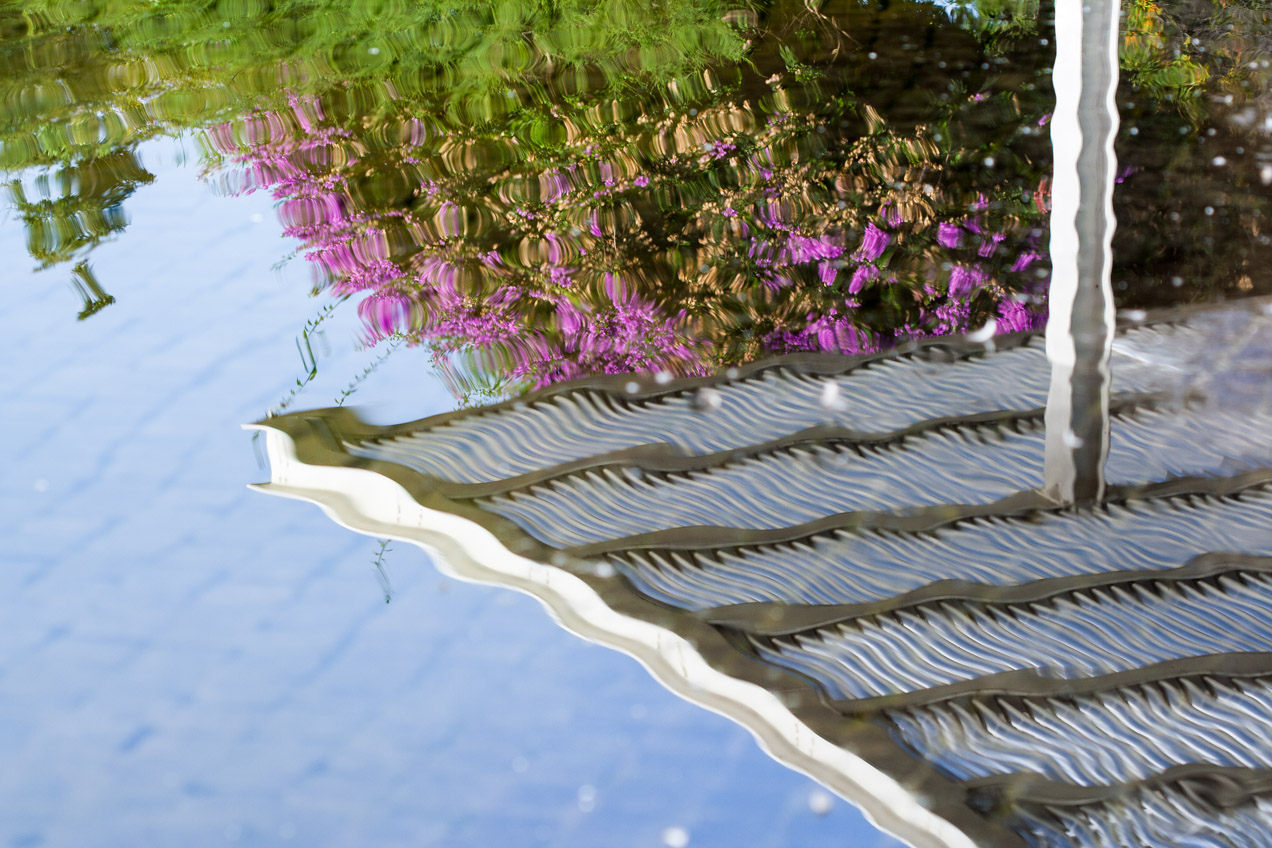 Reflejo en el agua. © mateoht 1990-2013 - http://lafotodeldia.net