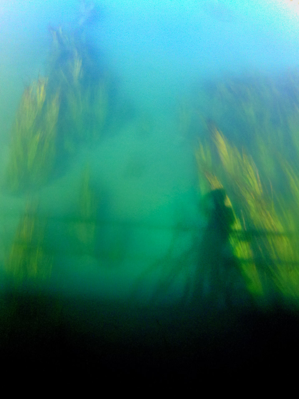 Canal Júcar-Turia, Picassent. © mateoht 1990-2013 - http://lafotodeldia.net