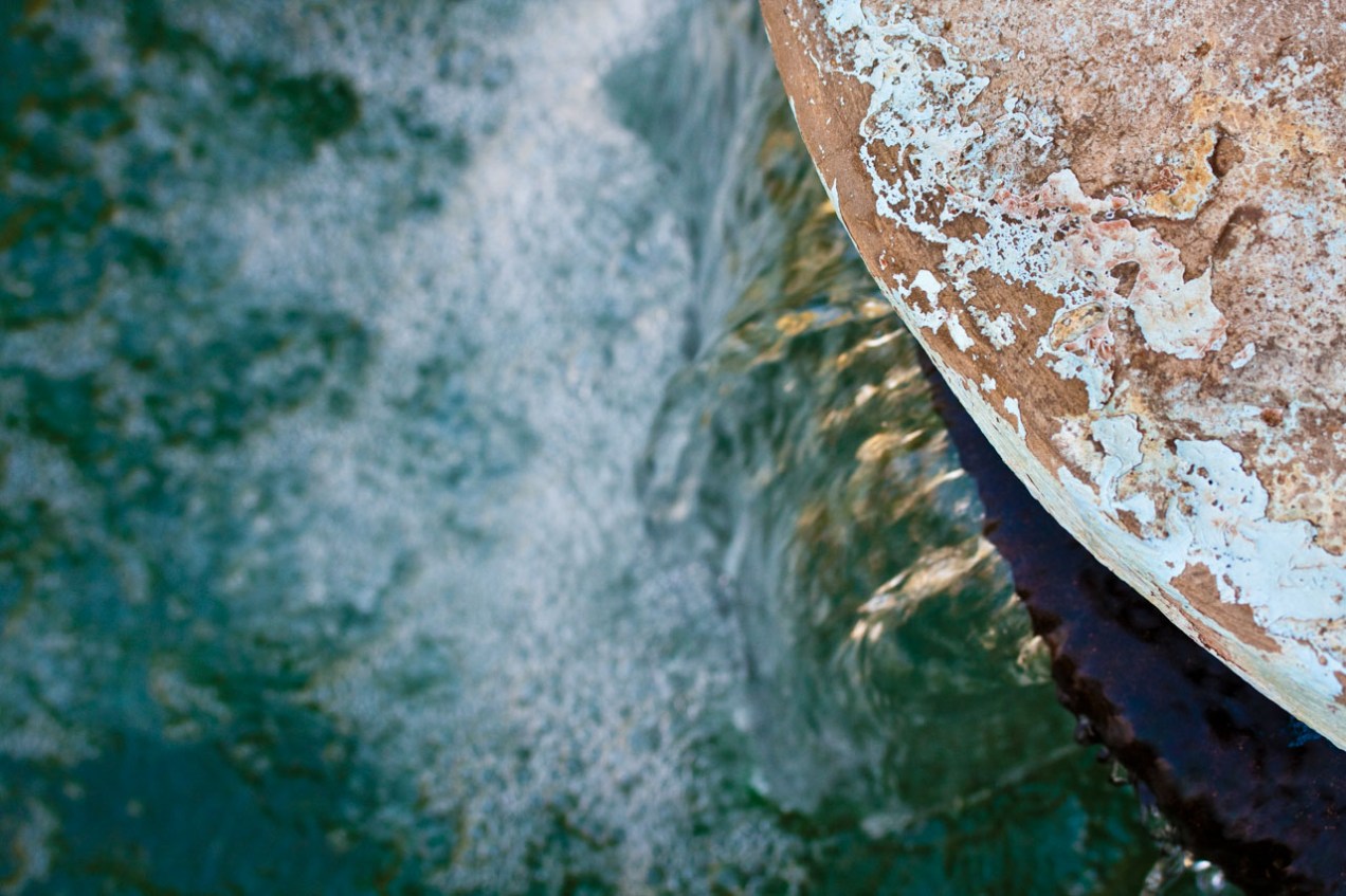 Borde de balsa de riego en El Golea, Argelia. © mateoht 1990-2013 - http://lafotodeldia.net