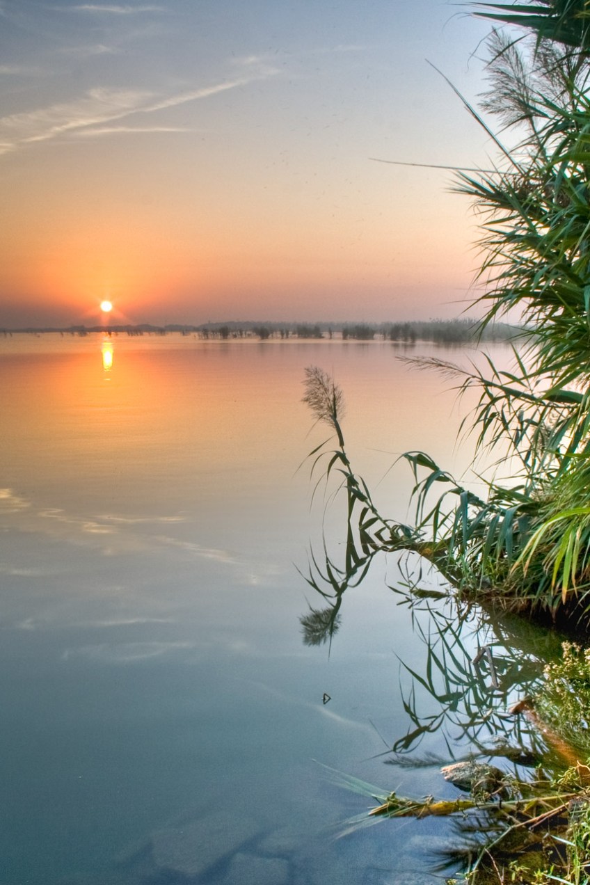 Amanece en la Albufera, Valencia. © mateoht 1990-2013 - http://lafotodeldia.net