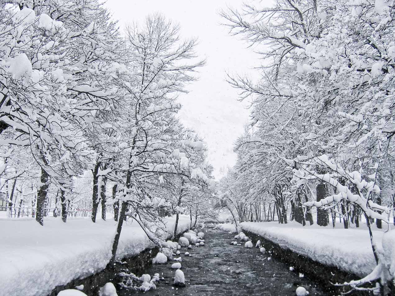 Nieva en Panticosa, Huesca. © mateoht 1990-2013 - http://lafotodeldia.net