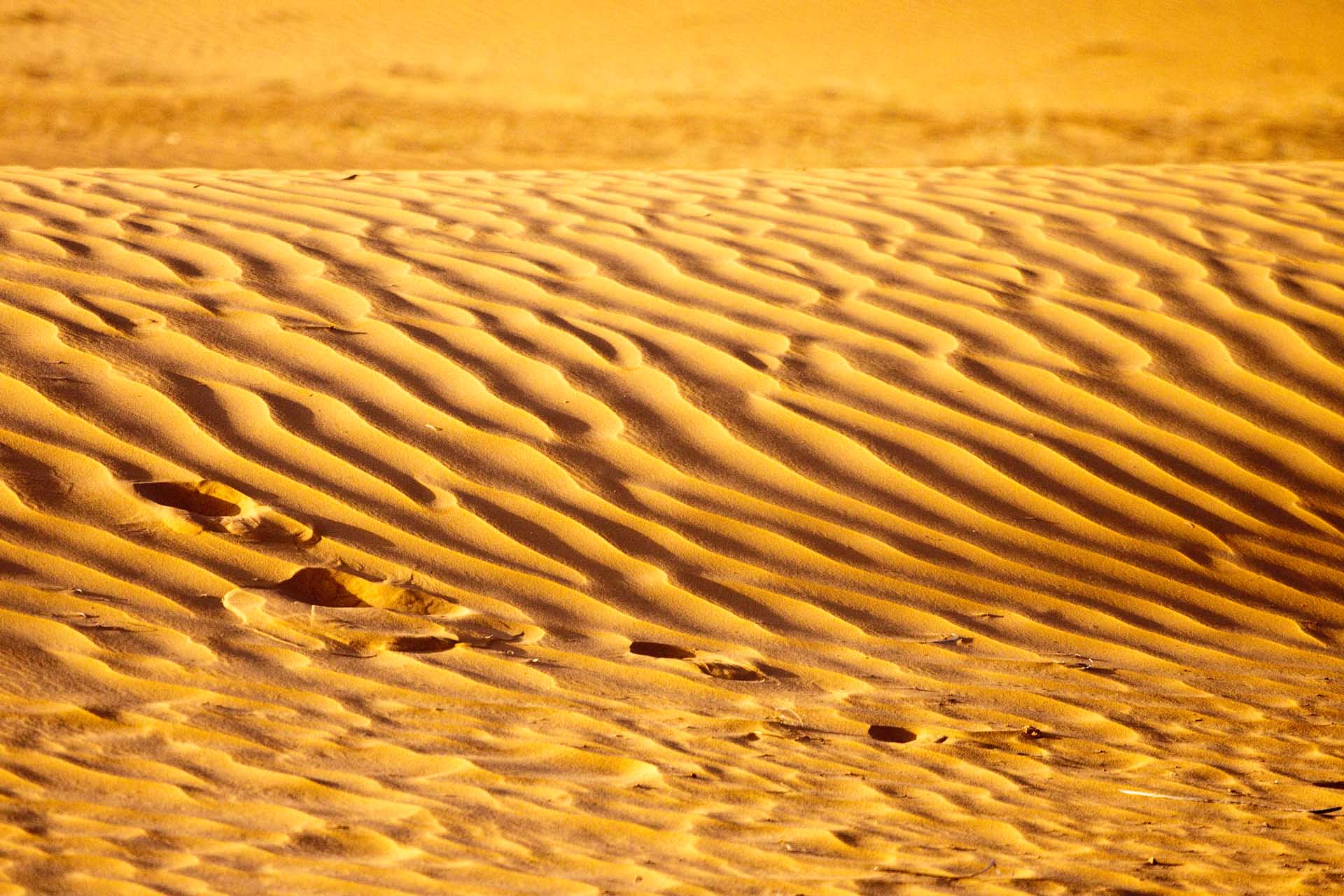 Arena en el Sahara, Argelia. © mateoht 1990-2013 - http://lafotodeldia.net