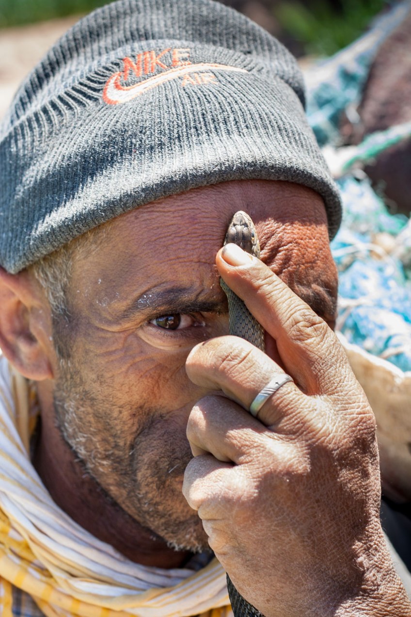 Hombre con serpiente en Argelia. © mateoht 1990-2013 - http://lafotodeldia.net