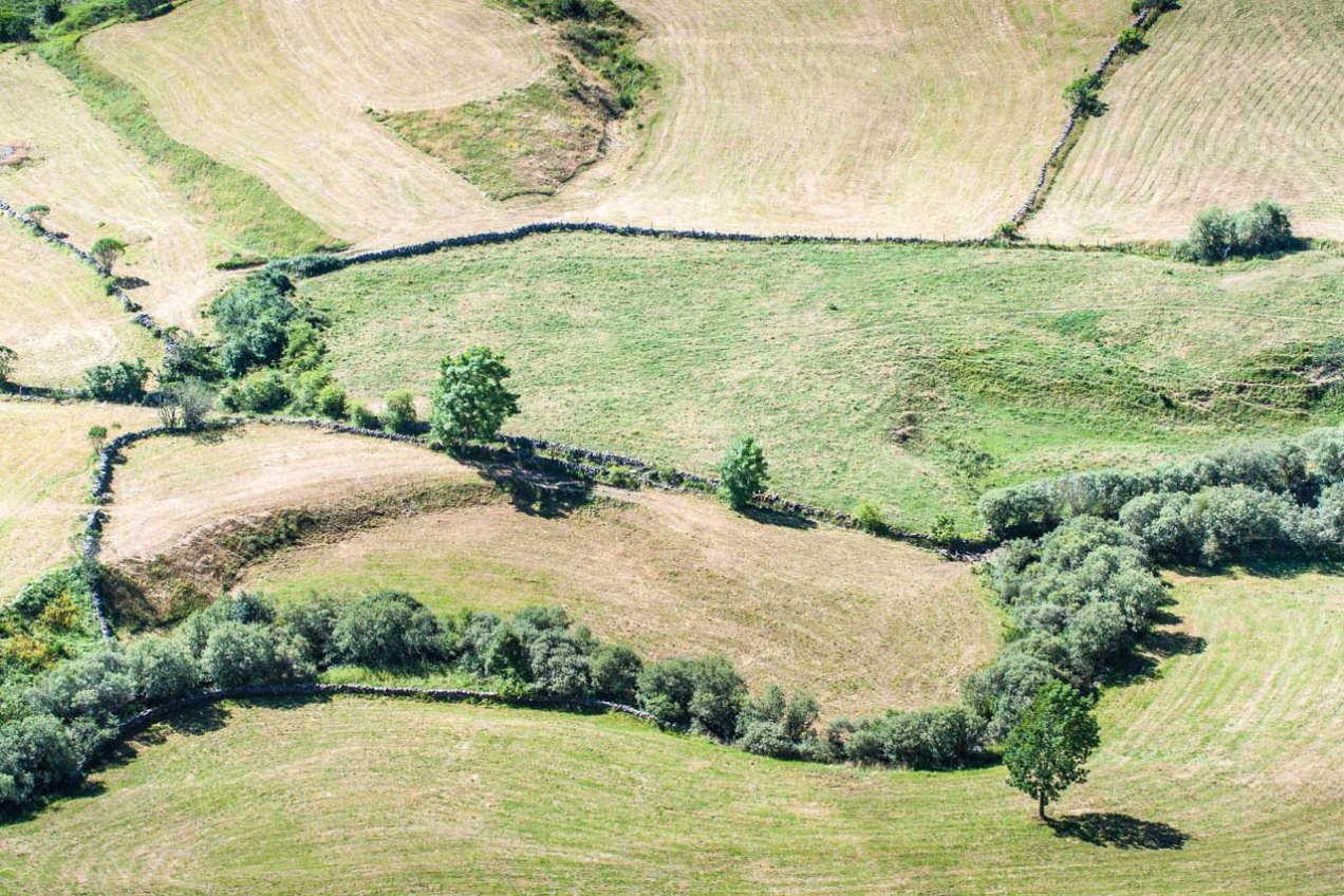 Campos en Asturias. © mateoht 1990-2013 - http://lafotodeldia.net