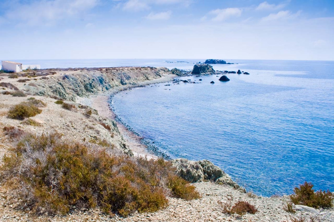 Playa en la isla de Tabarca, Alicante. © mateoht 1990-2013 - http://lafotodeldia.net