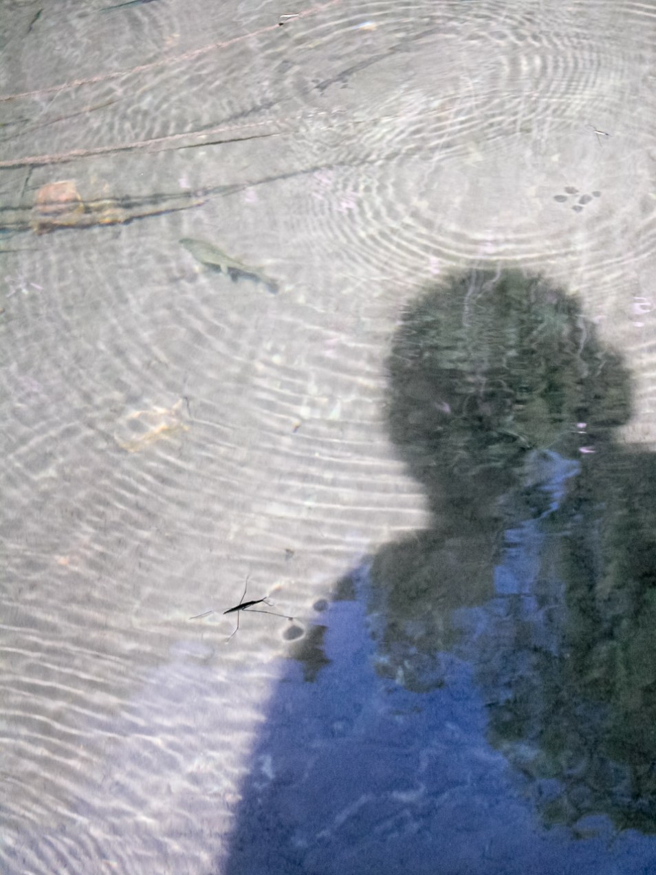 Reflejo en el agua, Navajas (Valencia). © mateoht 1990-2013 - http://lafotodeldia.net