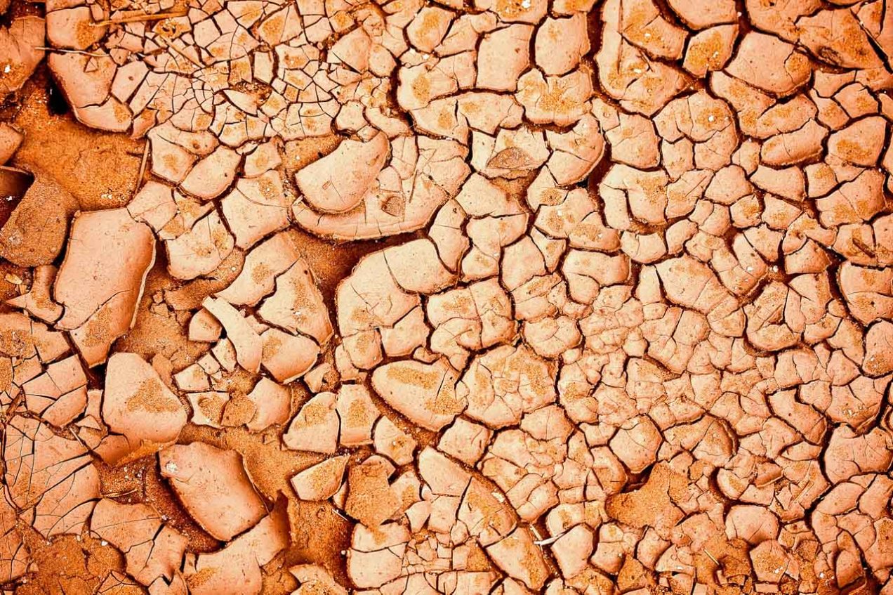 Suelo en el desierto, Argelia. © mateoht 1990-2013 - http://lafotodeldia.net