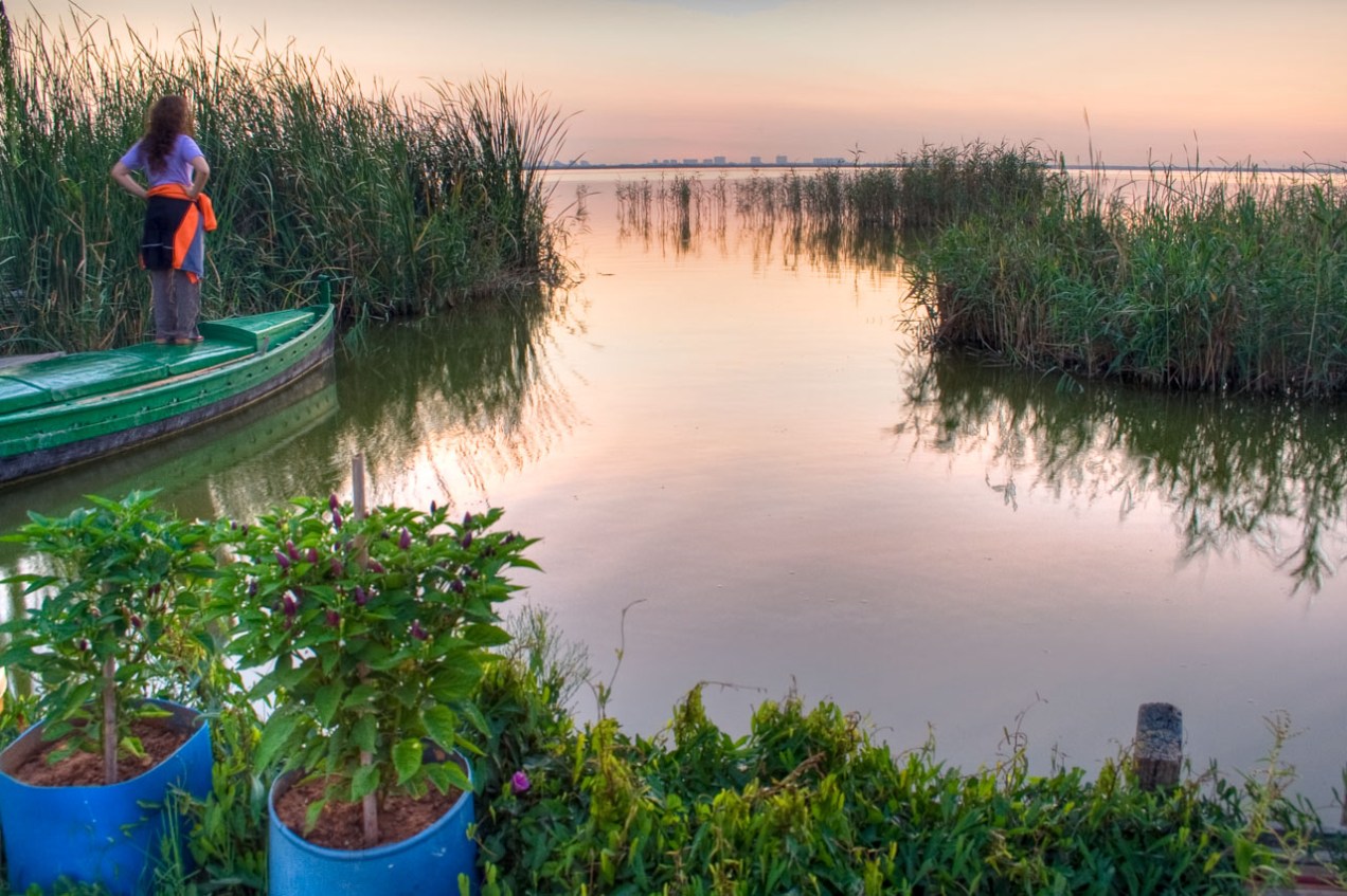 Amanecer en la Albufera, Valencia. © mateoht 1990-2014 - http://lafotodeldia.net