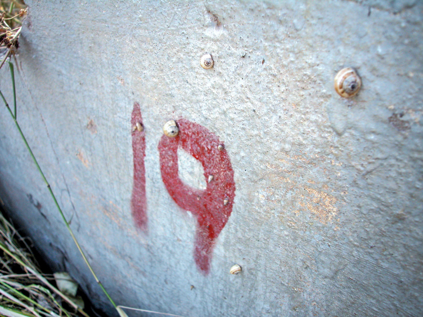 Pared en Alcasser, Valencia © mateoht 1990-2014 - http://lafotodeldia.net