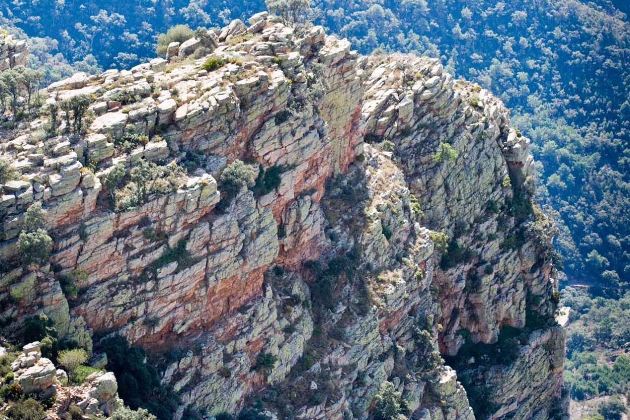 Cima del Garbí, Valencia © mateoht 1990-2014 - http://lafotodeldia.net