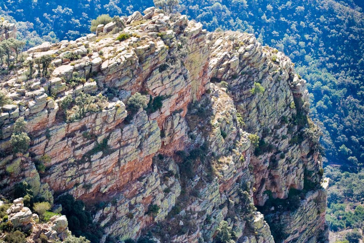 Cima del Garbí, Valencia © mateoht 1990-2014 - http://lafotodeldia.net