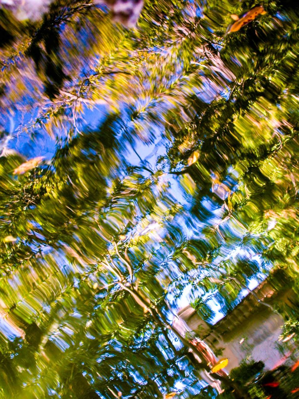 Reflejos en La Murta, Alzira. © mateoht 1990-2014 - http://lafotodeldia.net