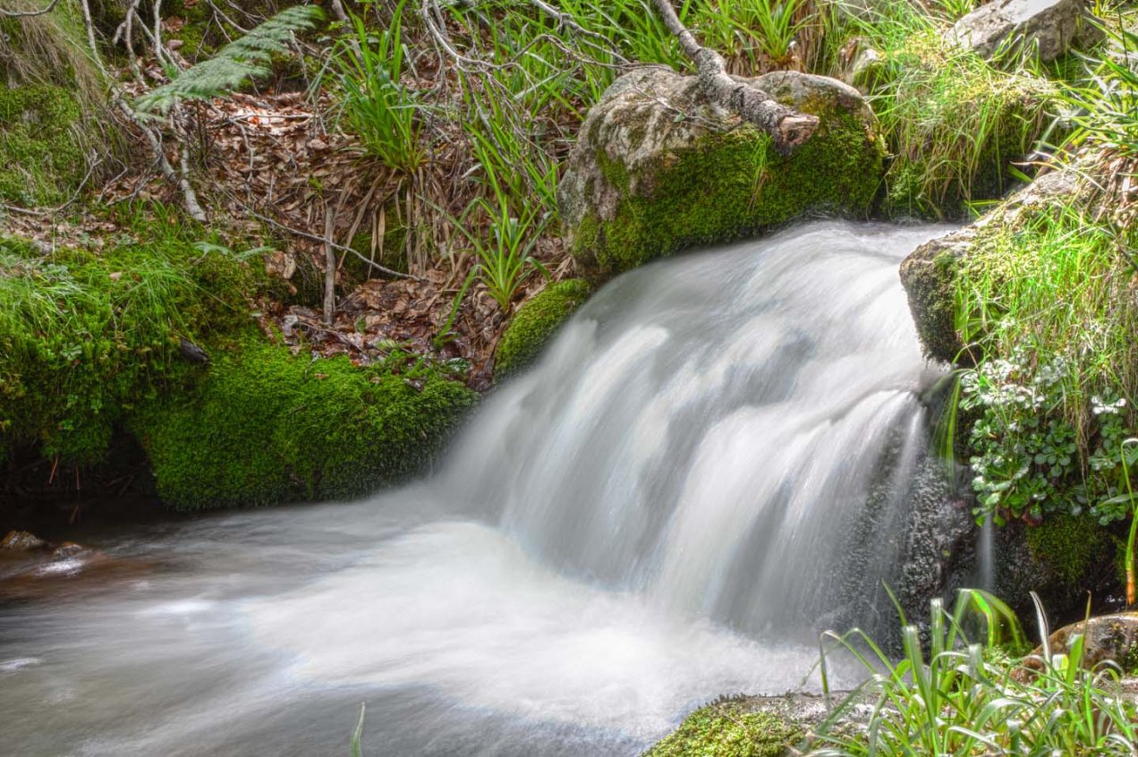 Cascada en el bosque, Asturias. © mateoht 1990-2014 - http://lafotodeldia.net