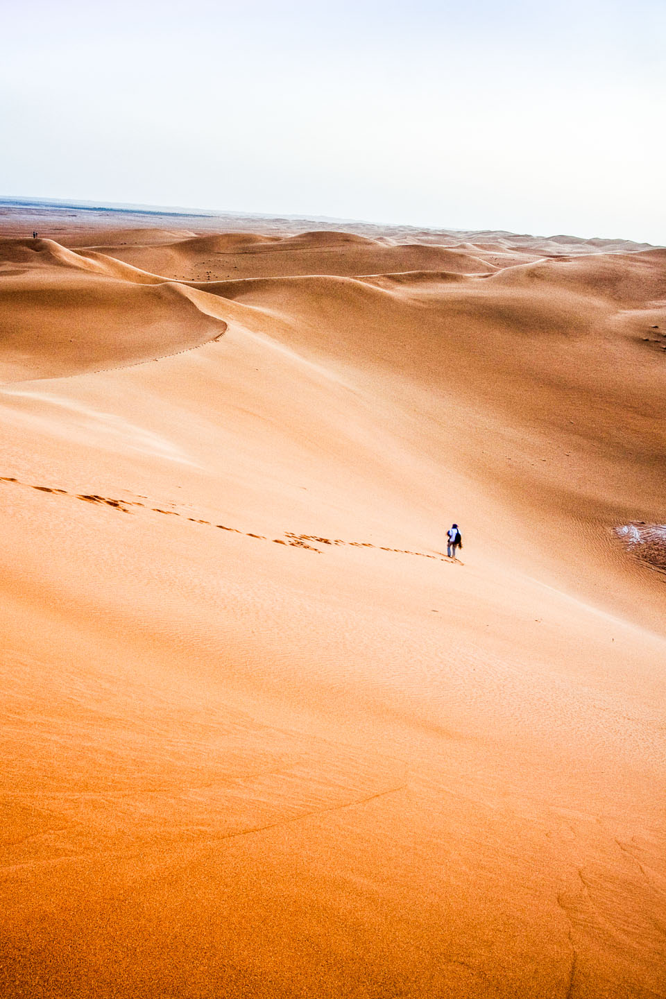 Desierto en El Gólea, Argelia, Sahara.© mateoht 1990-2014 - http://lafotodeldia.net