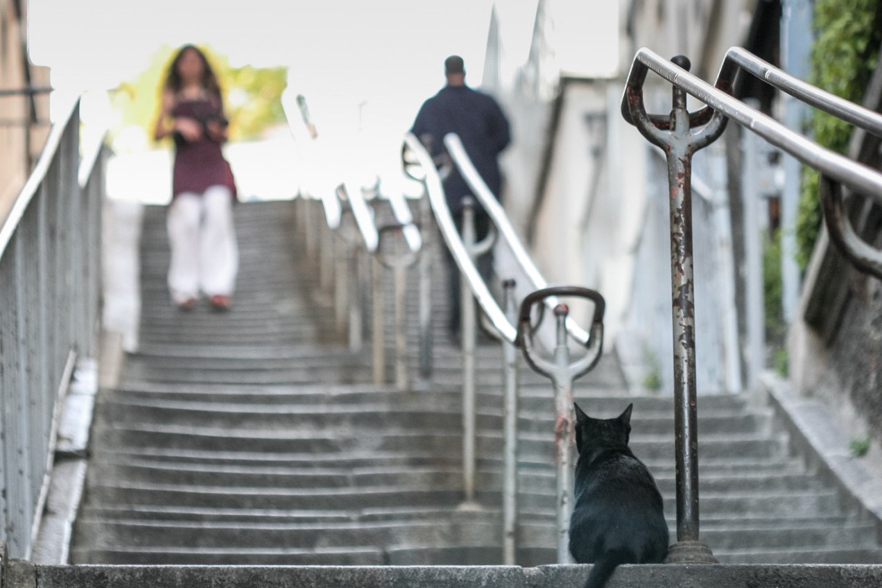 Calles de París. © mateoht 1990-2014 - http://lafotodeldia.net