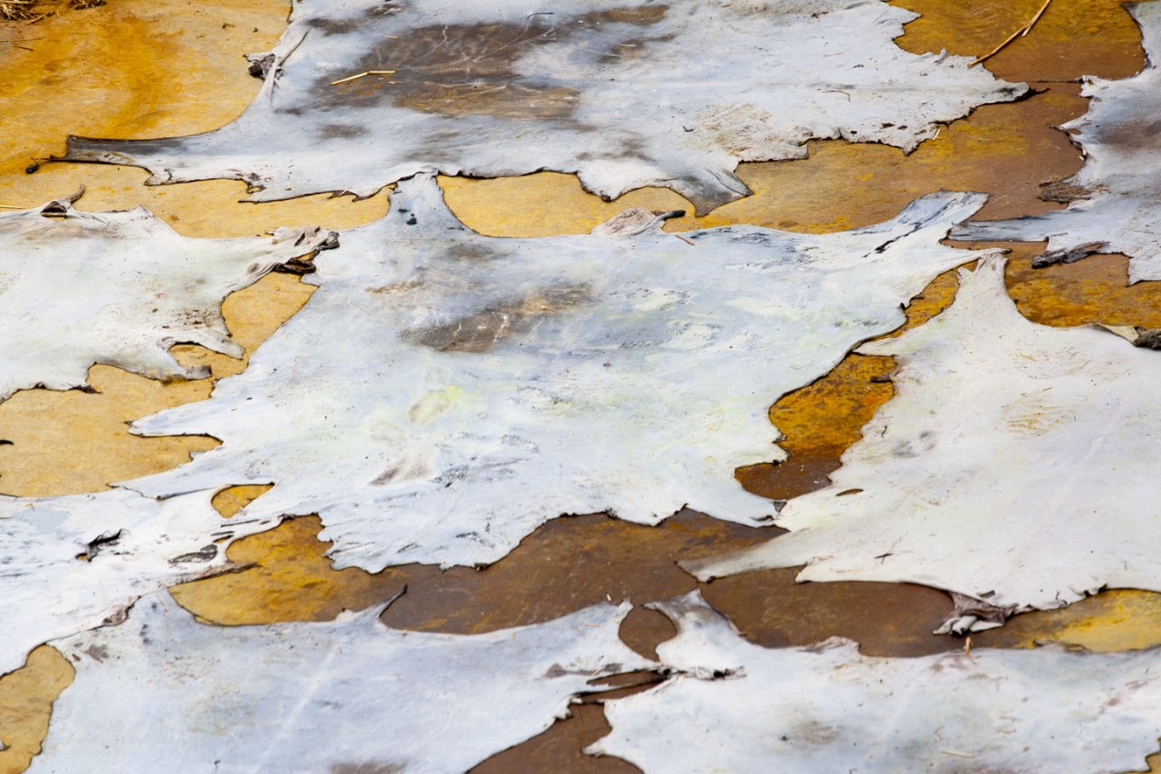 Piéles secando al sol en Fez, Marruecos. © mateoht 1990-2014 - http://lafotodeldia.net