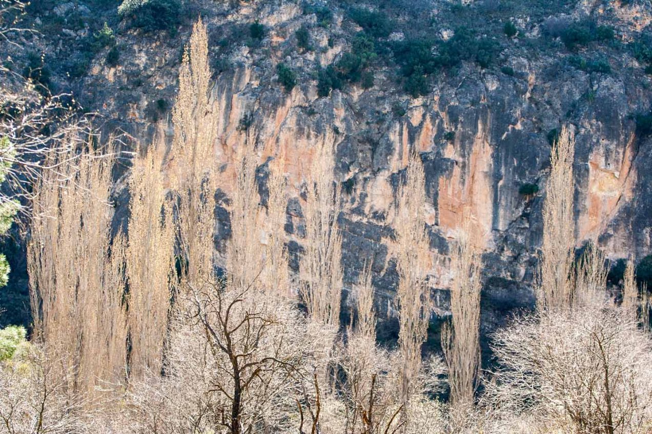 Rincón de Ademuz, Valencia. © mateoht 1990-2014 - http://lafotodeldia.net